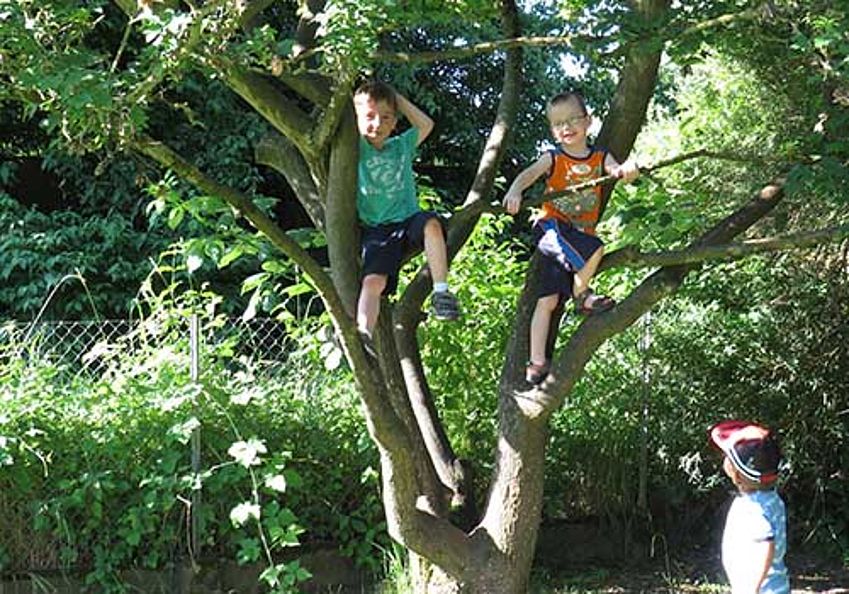 Kinder auf dem Baum