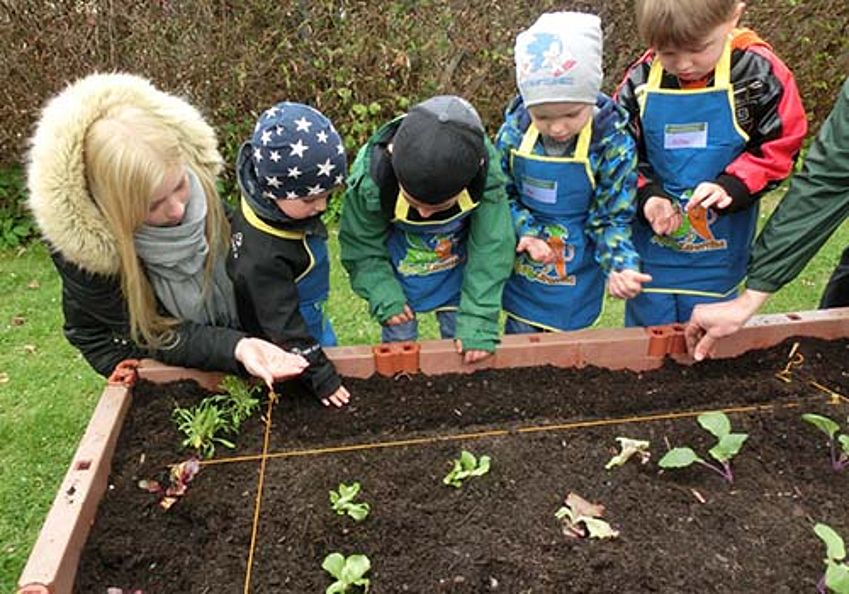 Aktion mit Pflanzen - Garten